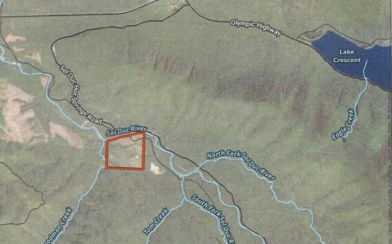A screenshot of a map that was part of a presentation to a Clallam County Hearing examiner on June 5. Highway 101 runs along the top to Lake Crescent the project area is outlined in orange.