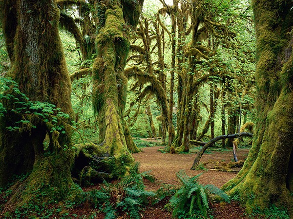 Olympic National Park