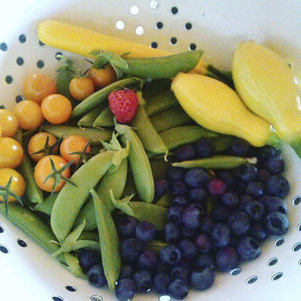 Bounty from the garden ...