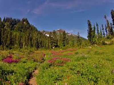 Olympic National Park