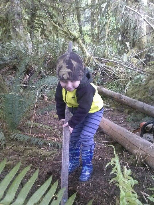 Putting in some posts for the tree house!!