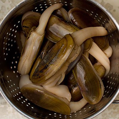 Razor Clams .....