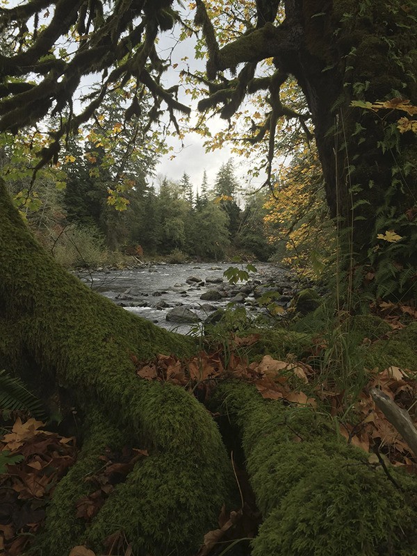 Tumbling Rapids ...