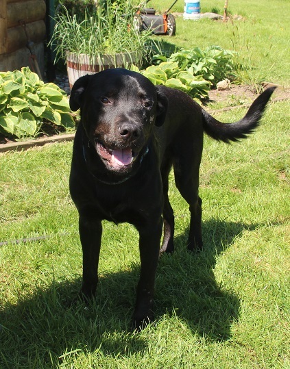 Duke recovering at his home.