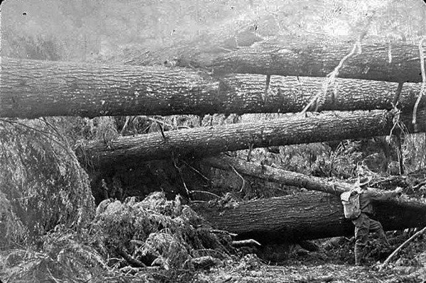 West End pioneer Otis Crippen surveying the damage after the January 1921 wind storm.