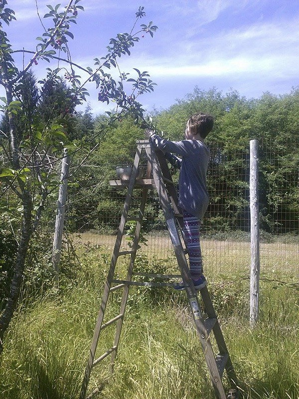 Helping with some off the grid harvesting ...