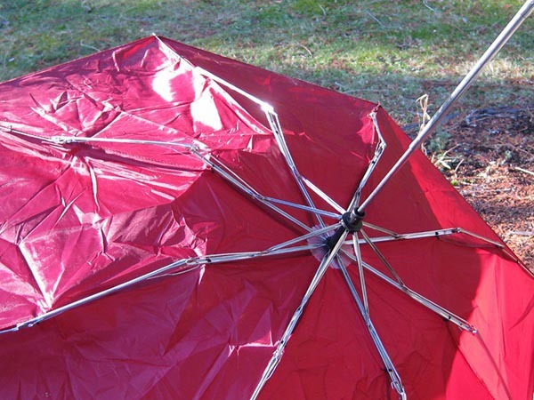 A typical Forks umbrella.