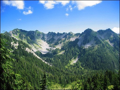 Olympic National Park......