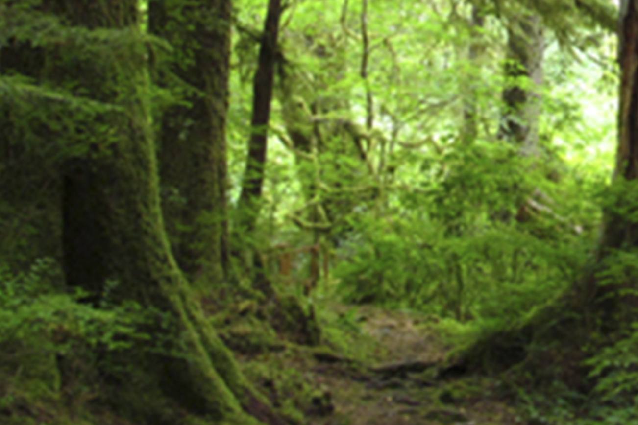 State Parks final free day of 2016 is Nov. 11