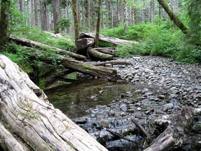Large-scale experiment on the rural Olympic Peninsula to test innovations in forest management