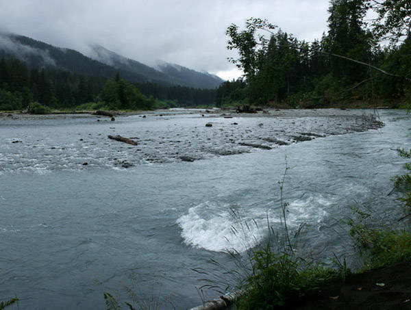 The Hoh River.