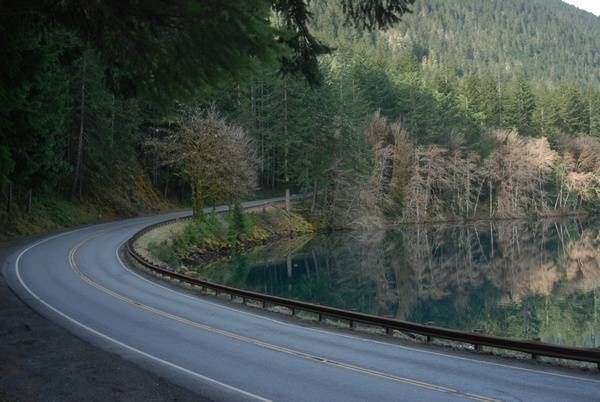 Tree removal planned on US 101 along Lake Crescent