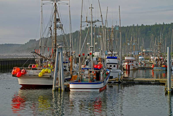 Recreational halibut fishing to open June 10 in Neah Bay, La Push and Puget Sound