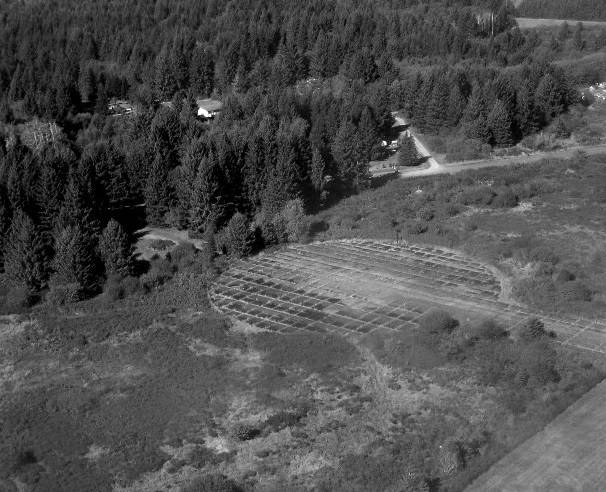 A long abandoned blimp pad.