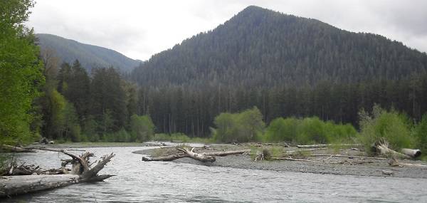 Hoh River and South Fork Hoh River to open July 1 for trout and steelhead