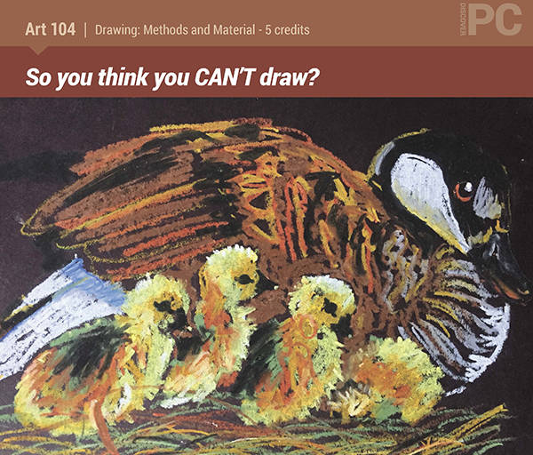 So you think you can’t draw