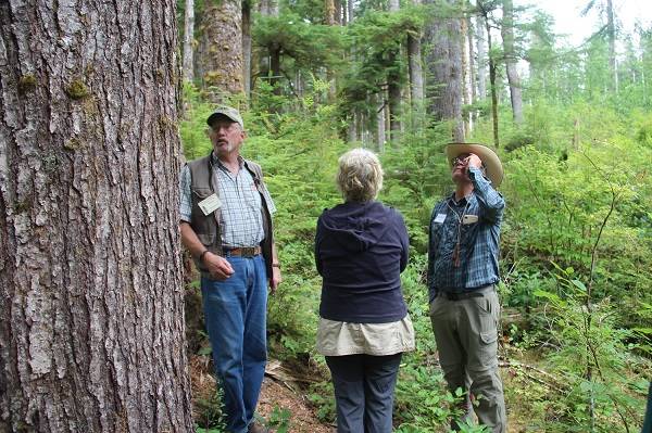 Logging and mill tour always offers a fresh perspective