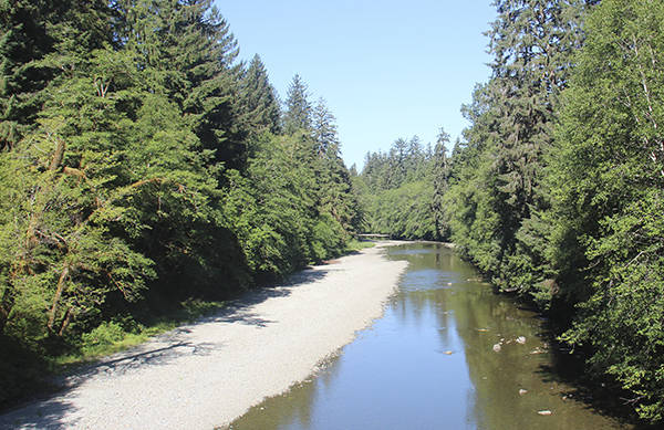 Quillayute River and most tributaries to close Oct. 16 due to low river flows