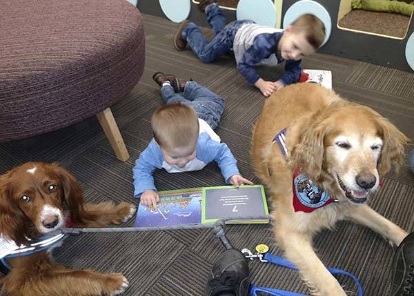Gabby and Tally and some readers at the Forks Library. Photo Sherry Schaaf