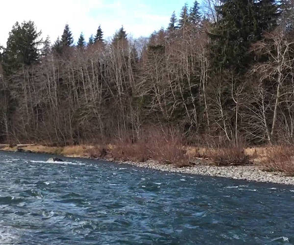 FREE FORKS COMMUNITY RIVER FLOAT & ROOT BEER FLOATS