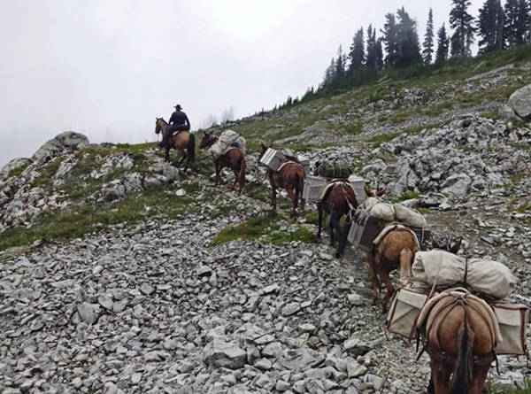 Mt. Olympus Chapter Back Country Horsemen of WA Share the Trail Event