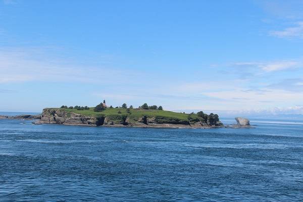 Tatoosh Island. Photo Christi Baron