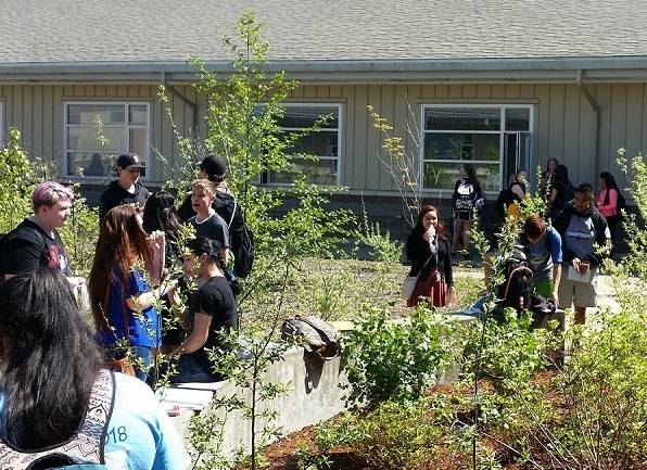 Honor Roll students at Forks High School enjoyed pop cycles in the sunshine in the school’s courtyard that is being renovated by various classes at FHS. Honor Roll students spent time appreciating the new look as well as their treats. Submitted photo