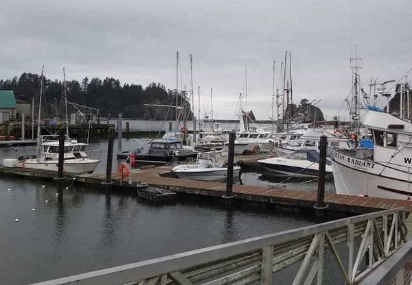 Marine areas 3-10 to re-open for halibut fishing