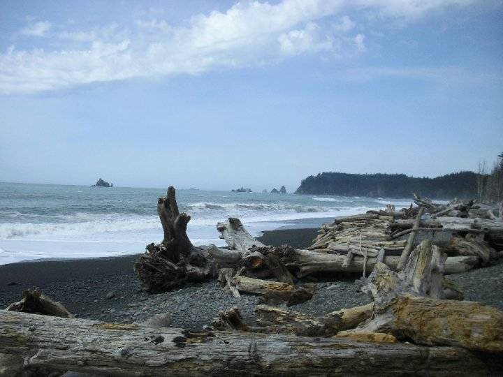 Rialto Beach reopens after search