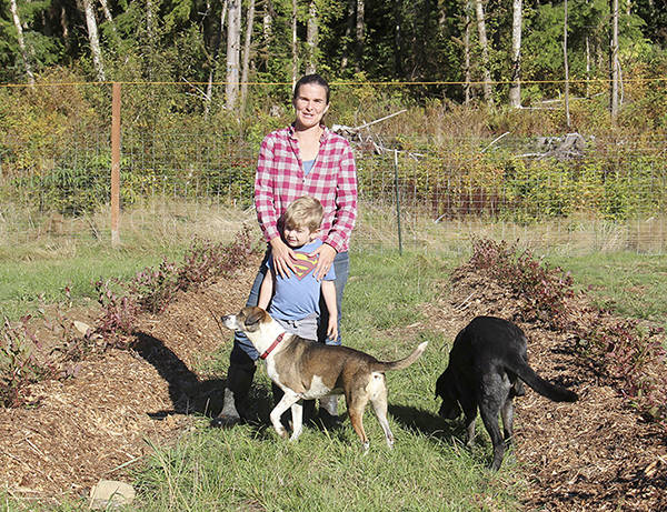 Lauren Kerr with her son Nate and the family dogs stand between a couple of rows of blueberries that Kerr and others recently planted, 500 in all. The berries are the first step in what will eventually be a U-Pick berry and flower farm located near Three Rivers. Photo Christi Baron