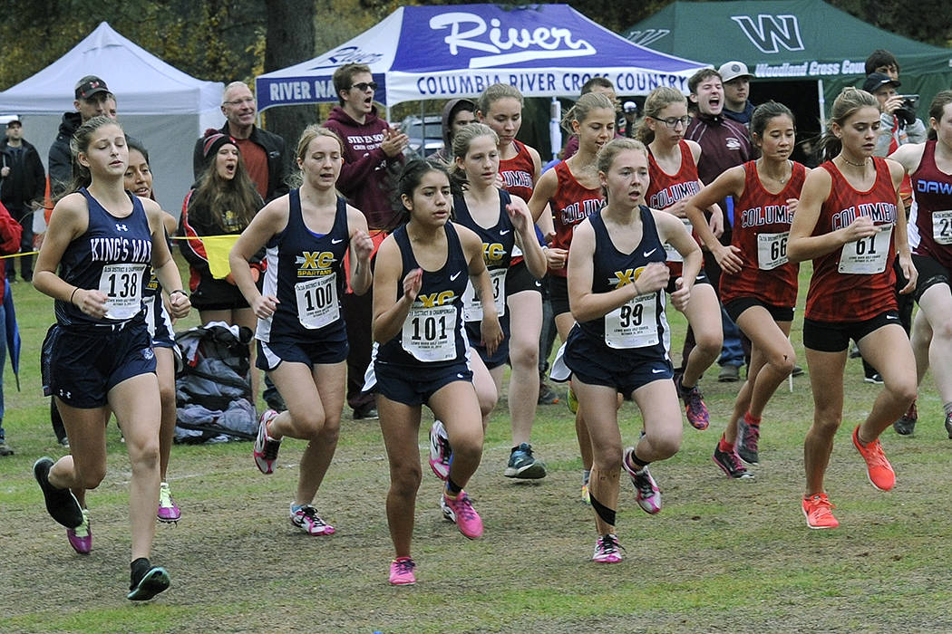 Spartans qualify for state cross country meet