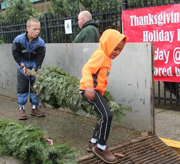 Zaiden Morales and Dax Baysinger assisted other West End Youth League volunteers last Saturday afternoon as the group’s annual tree sale fundraiser got underway outside Forks Outfitters. Douglas Firs (green tags) are $32.95 and Noble Firs (blue tags) are $47.95. Funds raised from the sale of the trees go to benefit youth sports activities in our community. Photo Christi Baron