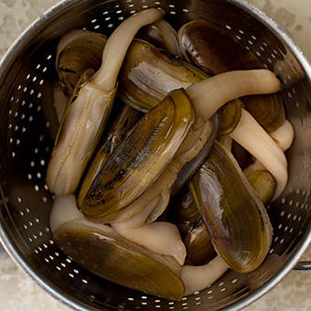 WDFW approves three-day razor clam dig beginning Feb. 1