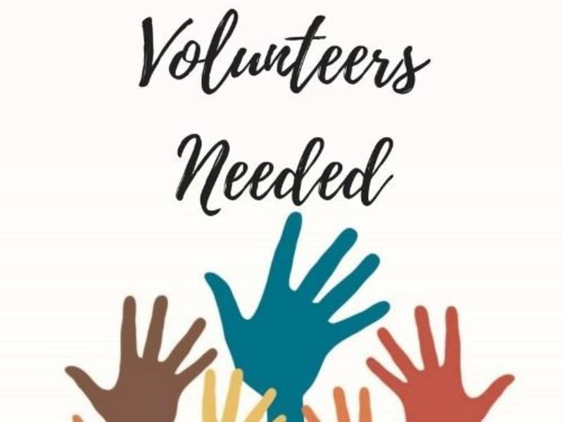 Clallam County seeks volunteers for various boards and committees
