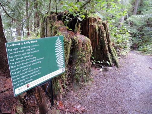 NOLS and Olympic National Park to offer sixth season of Poetry Walks