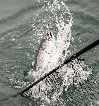 Recreational salmon fishing opens June 22 in Washington’s ocean waters