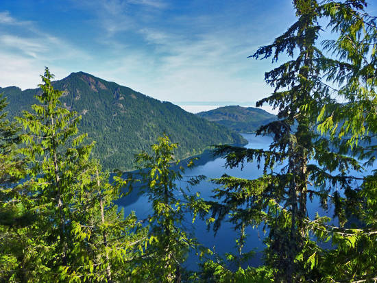Forks washington deals