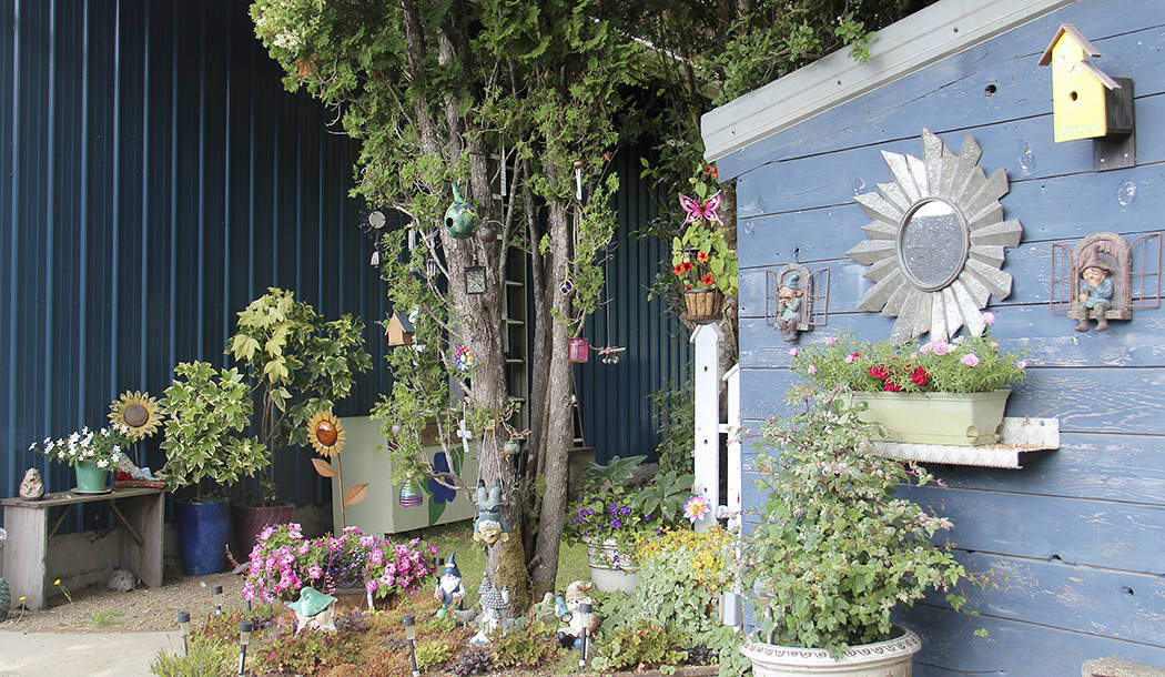 Andersonville just north of Forks was selected as the Bogachiel Garden Club’s Yard of the Month for June. Photos Christi Baron