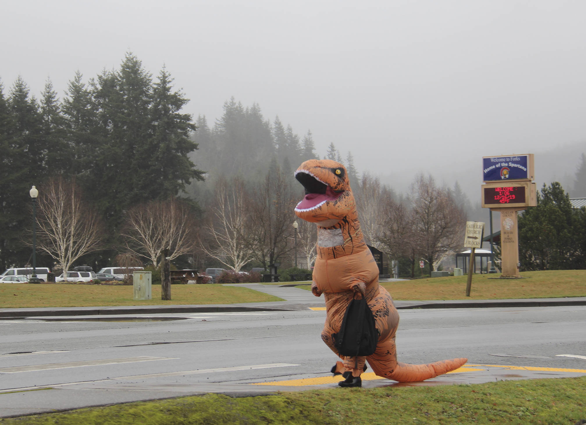 Not seen around, very often, a T-Rex on Forks Avenue. Photo Christi Baron