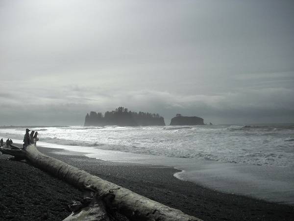 Winter Season in Olympic National Park