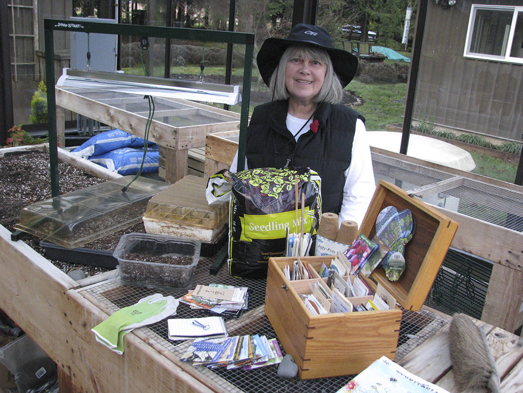 Veteran Master Gardener Cindy Ericksen will share tips for starting seeds indoors and outdoors at noon on Thursday, Feb. 12, in the county commissioners meeting room of the Clallam County Courthouse. This presentation is part of the Master Gardener Green Thumb Garden Tips education series. Submitted photo