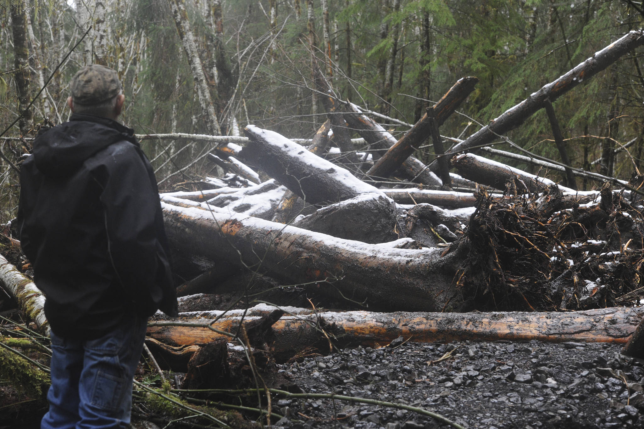 Beaver resident Richard Mossman looks over the trees and debris that came down in the slide. Photo by Lonnie Archibald