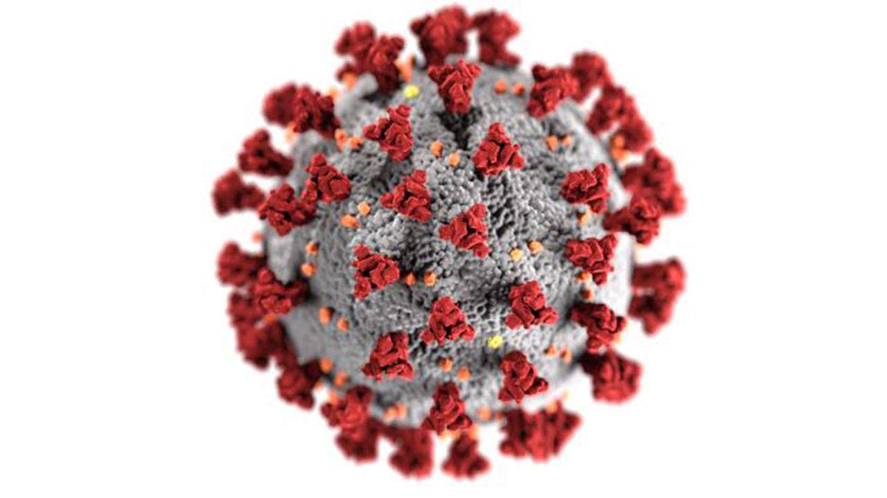 This illustration, created at the Centers for Disease Control and Prevention, reveals ultrastructural morphology exhibited by coronaviruses. Note the spikes that adorn the outer surface of the virus, which impart the look of a corona surrounding the virion, when viewed electron microscopically. (Centers for Disease Control and Prevention)