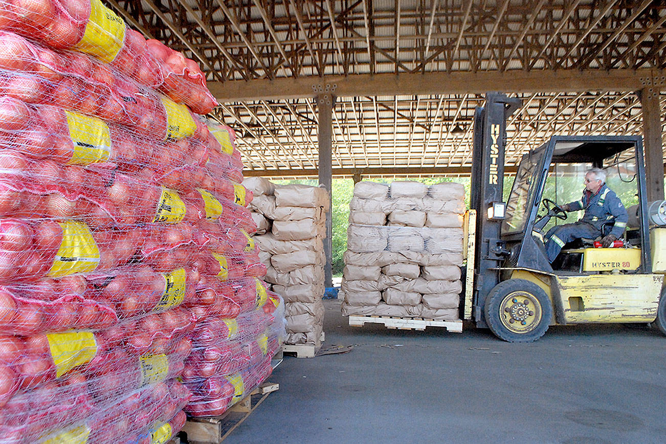 Free potatoes, onions to be distributed in Port Angeles, Forks