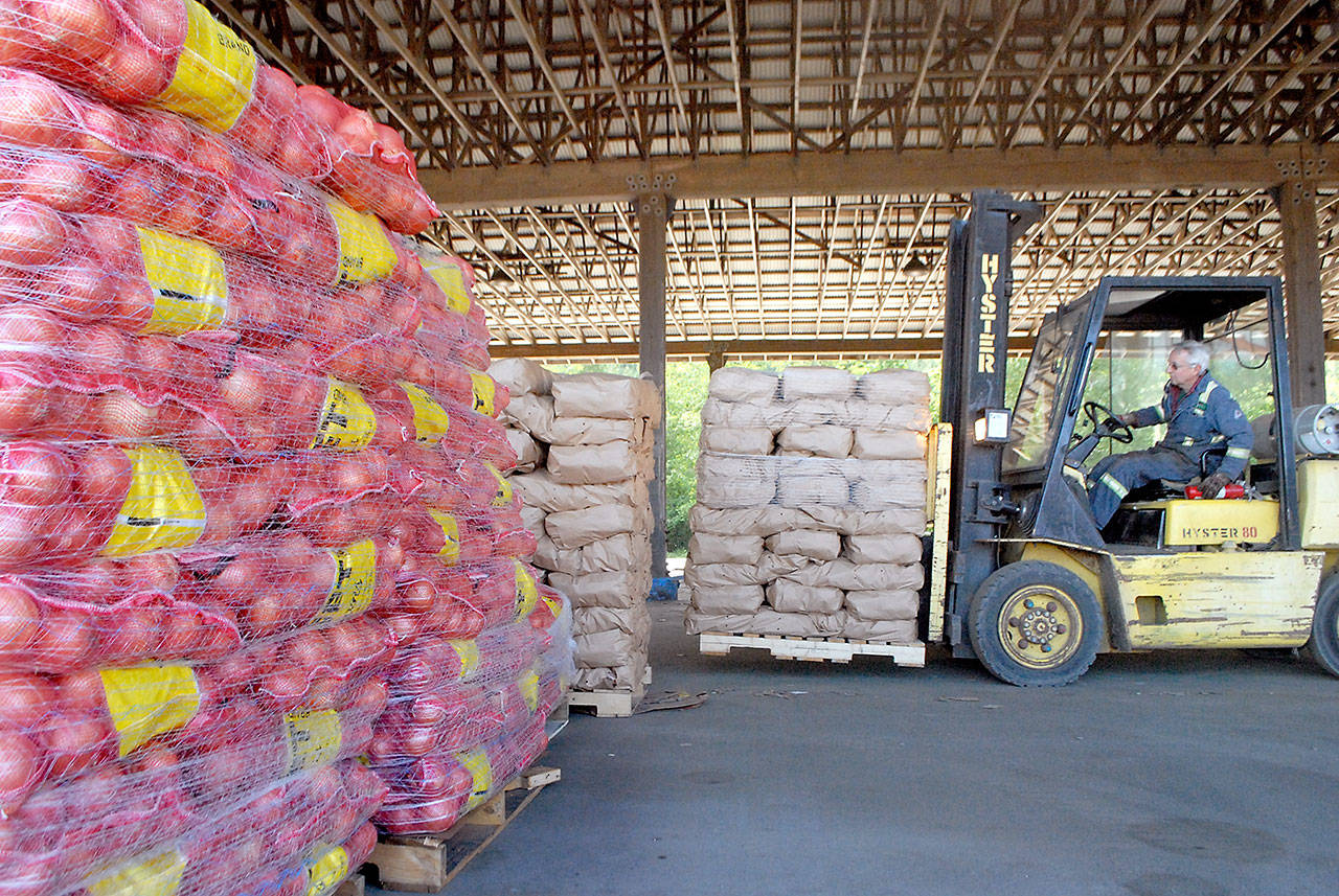 Dan Otterstetter, an employee of Hermann Brothers Logging & Construction Inc., uses a fork lift to unload potatoes and onions at the company’s Port Angeles log yard Tuesday for storage before community distributions set for Saturday. (Keith Thorpe/Peninsula Daily News)