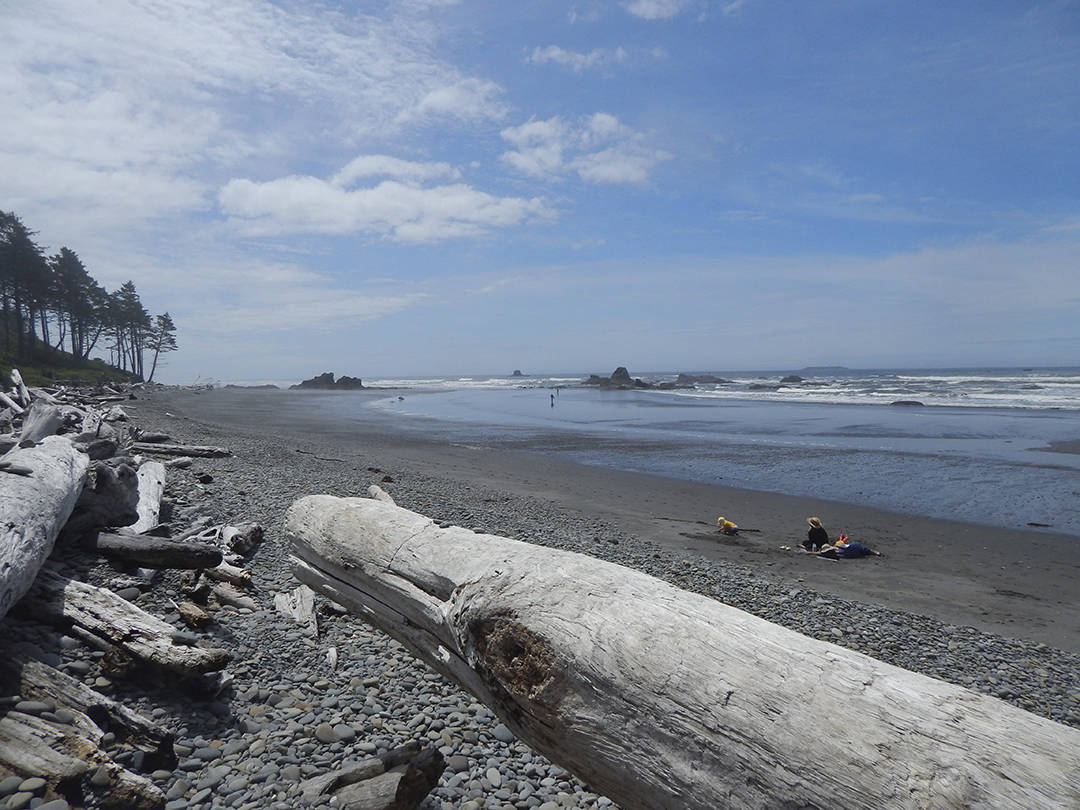 A few tourists and a few locals enjoyed a sunny day at Ruby Beach last week as access to some area beaches were allowed. Photo Christi Baron