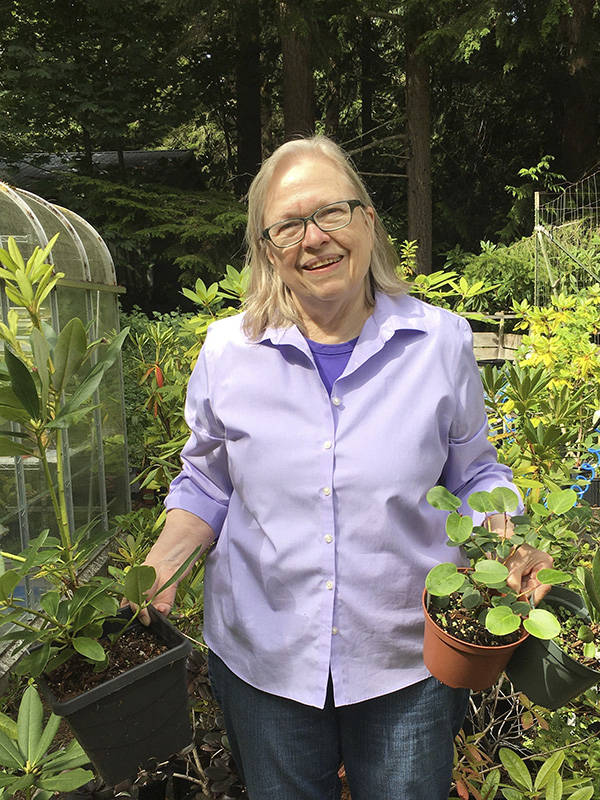 Rosalie Preble has propagated plants from cuttings and other methods for more than 20 years. Join her Zoom presentation “Propagating Rhododendrons from Cuttings”, on Sept. 10 from noon to 1:00 p.m. to learn more about this topic. Submitted Photo