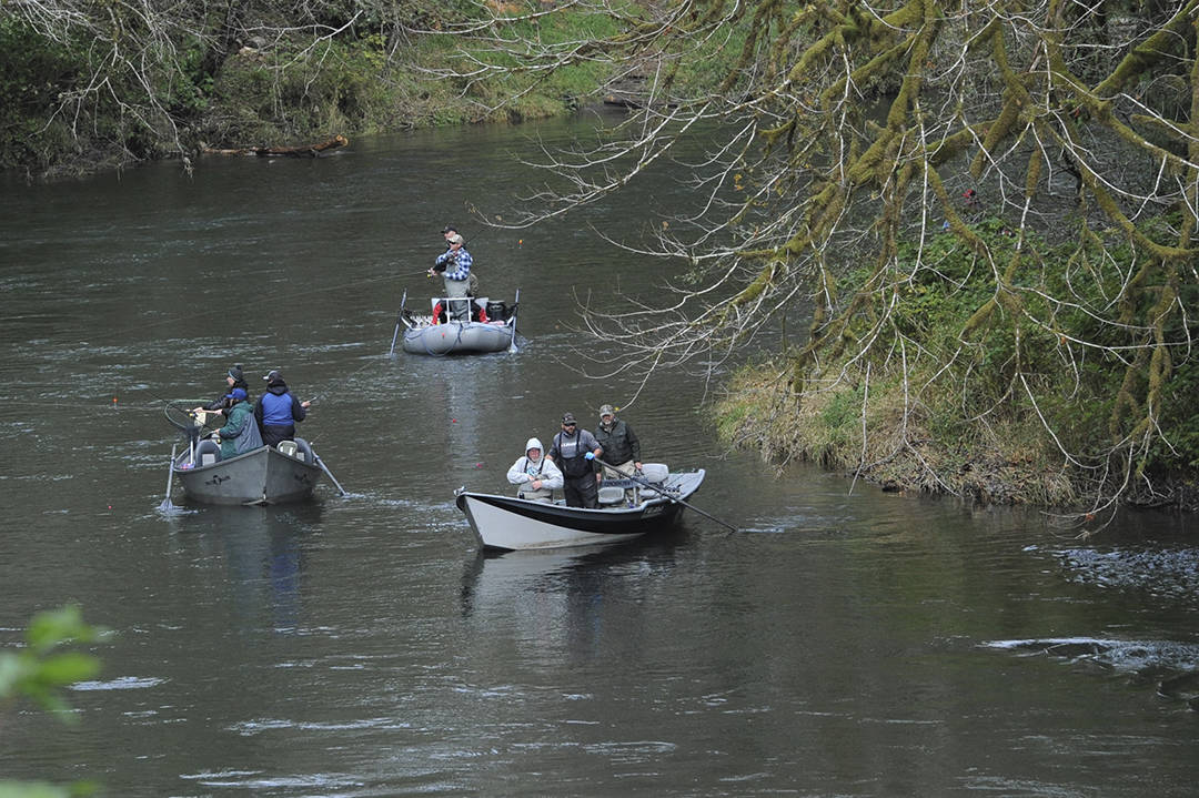 Salmon fisherman try their luck in the Sol Duc River as Silvers and Kings have moved in since the last two high water events. Photo by Lonnie Archibald