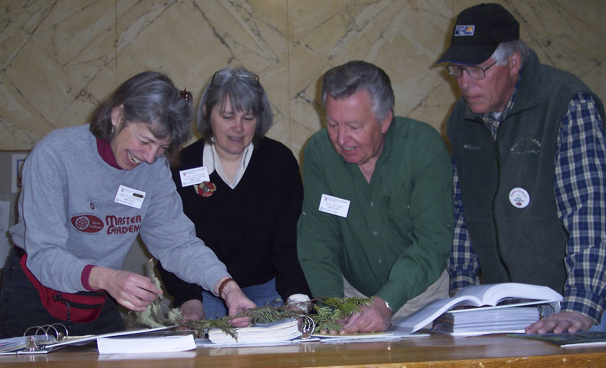 Veteran Master Gardeners Jeanette Stehr-Green, Cindy Erickson, Nye Nelson (retired) and John Norgord investigate a problem with a hemlock tree at a Plant Clinic. Submitted Photo