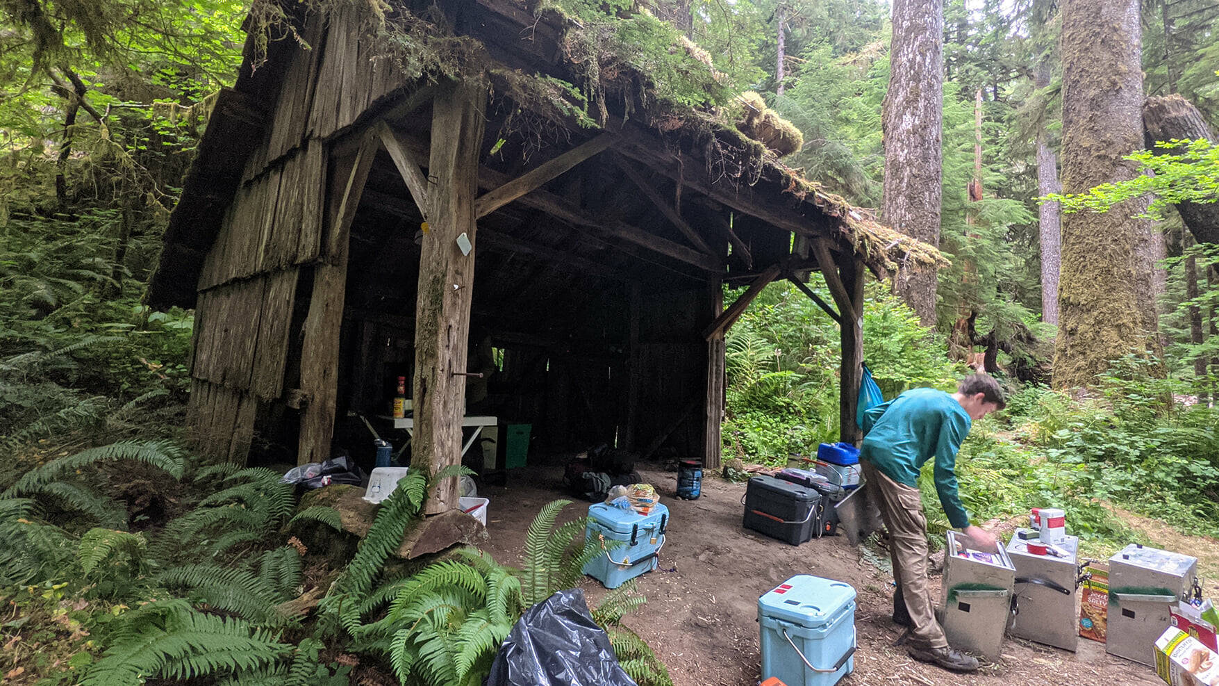 PNTA crew members stage equipment dropped off by volunteer packers at the Fifteen Mile Shelter along the PNT in Olympic National Park.